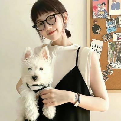 紫罗兰封面